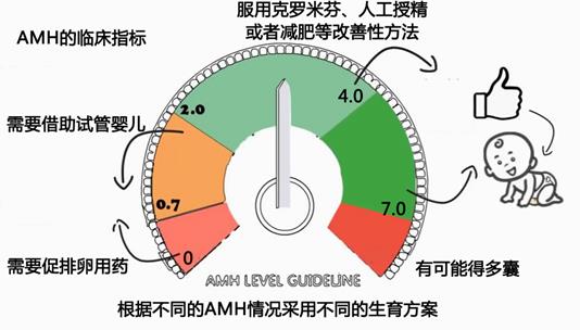 谢娜怀双胞胎，真的是借卵试管婴儿吗？