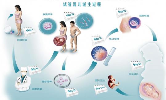 甘肃兰州供卵试管婴儿全程护理套餐