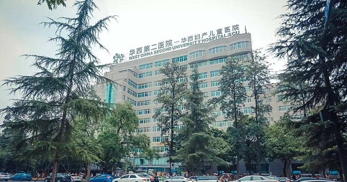 供卵代生做供卵试管三期B超后的成功率-三代供卵助孕供卵试管一次成功多