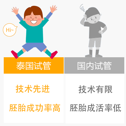 俄罗斯的借卵供卵代生代怀价格，请看费用明细