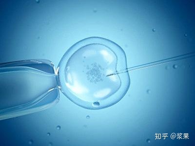 赠卵代生做供卵试管期间体重增加的原因是什么？赠卵助孕代怀机构
