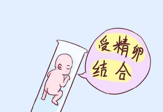 兰州试管免费政策