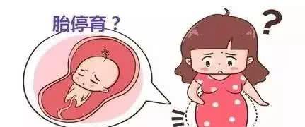 兰州试管免费政策
