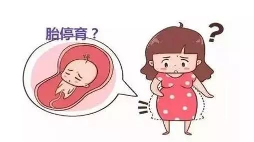 失独代怀求子生孩子后哪些食物不能吃