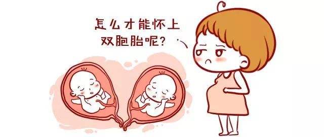 人工授精包括检查费用多少钱