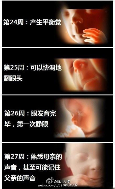 人工授精的成功率是多少