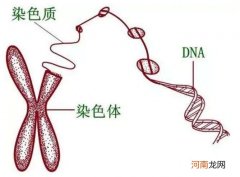 公立做试管代怀哪些医院费用高不高（供卵大概需要多少费用）