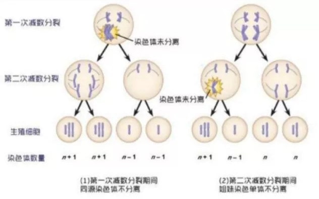 兰州代生选男女费用+如何助孕同性爱人
