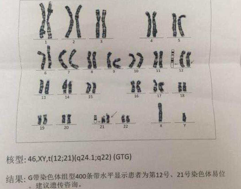 同性伴侣能做第三代兰州不孕代怀求子吗
