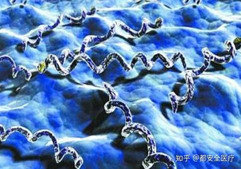 试管三代会胎停吗+做借卵试管代生11周胎停