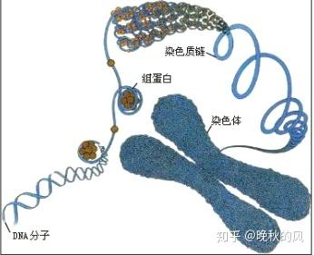 2024兰州市国内试管代怀哪家最好婴儿医院比较值得去