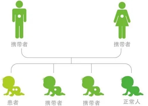 2024试管解冻生第二胎费用多少（附明细）