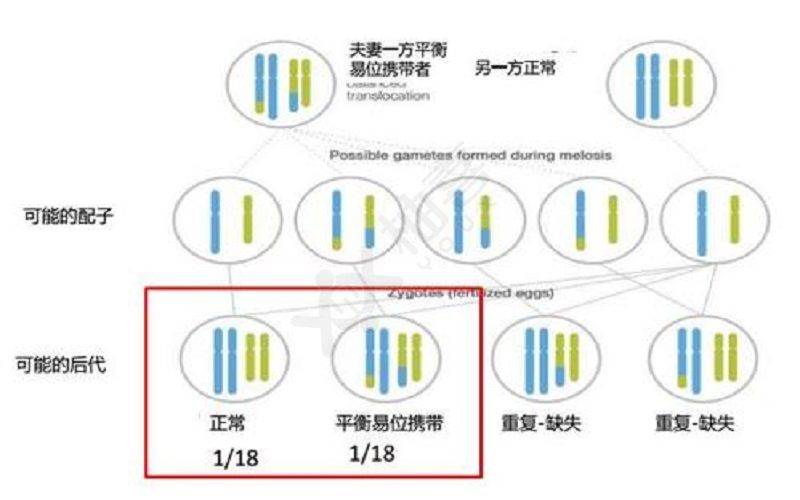 “假排卵”不孕怎么办