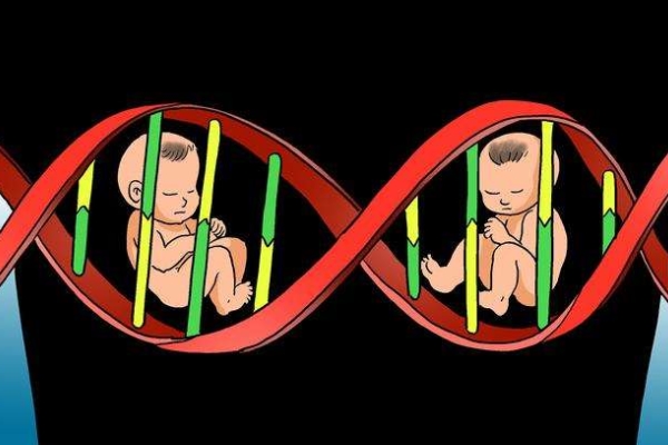 2024全国排名前十私立代生子包成功（附费用及成功率）